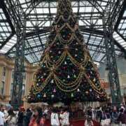 ヒメ日記 2025/11/12 07:36 投稿 りり ニュー不夜城