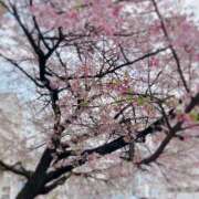 ヒメ日記 2025/03/25 10:03 投稿 神谷麗(かみやれい) 東京ヒストリー lettre d'amour