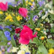 ヒメ日記 2025/04/07 11:22 投稿 神谷麗(かみやれい) 東京ヒストリー lettre d'amour