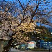 ヒメ日記 2025/03/29 18:53 投稿 かな 尼妻（あまづま）