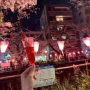 ヒメ日記 2025/04/09 18:09 投稿 せりか【非日常注意ドエロ痴女】 セクシャル