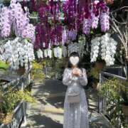 ヒメ日記 2025/08/08 18:40 投稿 桜もち JKリフレ東京 池袋店