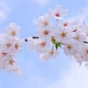 ヒメ日記 2025/04/09 13:04 投稿 あすな 地元女子が勢揃い 宇都宮ガールズ