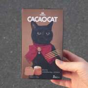 ヒメ日記 2025/04/23 13:14 投稿 あすな 地元女子が勢揃い 宇都宮ガールズ