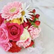 ヒメ日記 2025/04/25 13:14 投稿 あすな 地元女子が勢揃い 宇都宮ガールズ