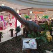 ヒメ日記 2025/05/03 09:34 投稿 あすな 地元女子が勢揃い 宇都宮ガールズ