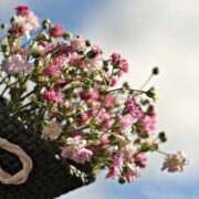 ヒメ日記 2025/08/29 13:14 投稿 あすな 地元女子が勢揃い 宇都宮ガールズ