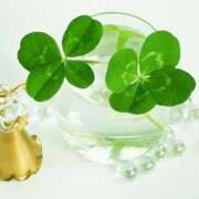 ヒメ日記 2025/09/20 17:24 投稿 あすな 地元女子が勢揃い 宇都宮ガールズ