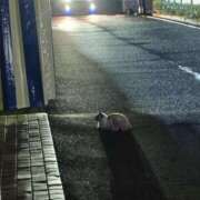 ヒメ日記 2025/09/21 13:04 投稿 あすな 地元女子が勢揃い 宇都宮ガールズ