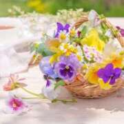 ヒメ日記 2026/02/11 15:14 投稿 あすな 地元女子が勢揃い 宇都宮ガールズ