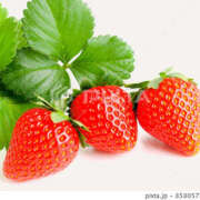 あすな 出勤します♬春の土用 地元女子が勢揃い 宇都宮ガールズ