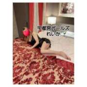 ヒメ日記 2025/02/17 23:44 投稿 れいか 地元女子が勢揃い 宇都宮ガールズ