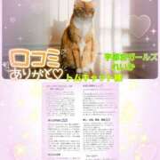 ヒメ日記 2025/07/08 19:06 投稿 れいか 地元女子が勢揃い 宇都宮ガールズ