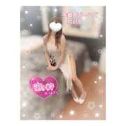 ヒメ日記 2025/08/20 09:14 投稿 れいか 地元女子が勢揃い 宇都宮ガールズ