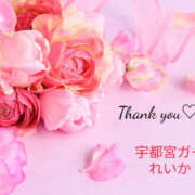 ヒメ日記 2025/12/29 23:54 投稿 れいか 地元女子が勢揃い 宇都宮ガールズ