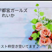 ヒメ日記 2026/01/03 11:44 投稿 れいか 地元女子が勢揃い 宇都宮ガールズ