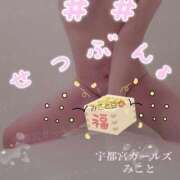 ヒメ日記 2025/02/02 13:04 投稿 みこと 地元女子が勢揃い 宇都宮ガールズ