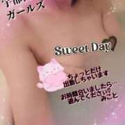 ヒメ日記 2025/07/14 13:24 投稿 みこと 地元女子が勢揃い 宇都宮ガールズ