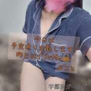 ヒメ日記 2026/02/09 12:04 投稿 みこと 地元女子が勢揃い 宇都宮ガールズ