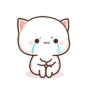 ヒメ日記 2025/05/17 16:34 投稿 ありさ 地元女子が勢揃い 宇都宮ガールズ