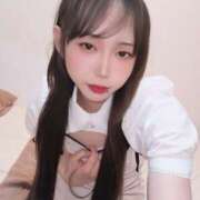 ヒメ日記 2026/02/19 14:10 投稿 ひばり キュート東京 新宿店