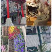 ヒメ日記 2025/04/24 12:20 投稿 しずく スピードエコ天王寺店