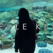 ヒメ日記 2025/05/17 23:37 投稿 けい ELLE