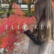 けい 本日【Gif】 ELLE