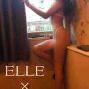 ヒメ日記 2026/03/28 05:59 投稿 けい ELLE