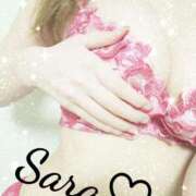 ヒメ日記 2024/12/25 18:46 投稿 さら ELLE