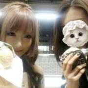 ヒメ日記 2025/09/16 17:01 投稿 りろ ELLE