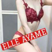 ヒメ日記 2025/08/09 21:04 投稿 あやめ ELLE