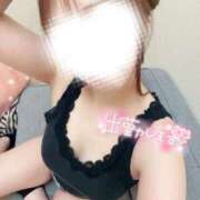 ヒメ日記 2025/02/04 16:22 投稿 れい プラチナ