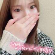 ヒメ日記 2025/02/08 19:22 投稿 れい プラチナ