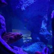 ヒメ日記 2025/04/05 08:00 投稿 ひかり ANNEX（アネックス）