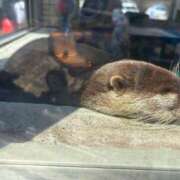 ヒメ日記 2025/08/18 22:15 投稿 ひかり ANNEX（アネックス）