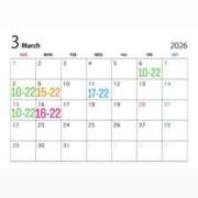 ヒメ日記 2026/03/04 22:21 投稿 ひかり ANNEX（アネックス）