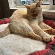 ヒメ日記 2025/05/22 21:14 投稿 ななせ 仙南 愛ランド（白石、柴田、岩沼、名取）