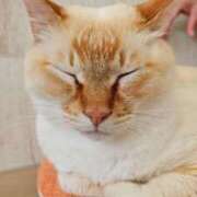 ヒメ日記 2025/06/04 12:24 投稿 ななせ 仙南 愛ランド（白石、柴田、岩沼、名取）