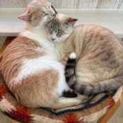 ヒメ日記 2025/06/13 23:24 投稿 ななせ 仙南 愛ランド（白石、柴田、岩沼、名取）