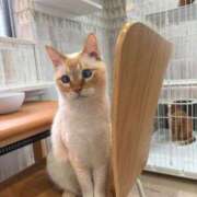 ヒメ日記 2025/08/01 21:44 投稿 ななせ 仙南 愛ランド（白石、柴田、岩沼、名取）