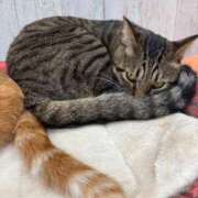 ヒメ日記 2025/08/31 00:04 投稿 ななせ 仙南 愛ランド（白石、柴田、岩沼、名取）