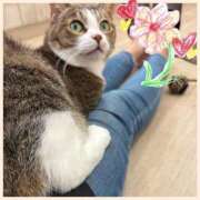 ヒメ日記 2025/09/27 23:04 投稿 ななせ 仙南 愛ランド（白石、柴田、岩沼、名取）