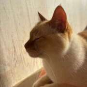 ななせ 帰宅ー❗️ 仙南 愛ランド（白石、柴田、岩沼、名取）