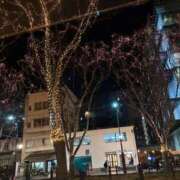 ヒメ日記 2025/12/19 15:04 投稿 ななせ 仙南 愛ランド（白石、柴田、岩沼、名取）