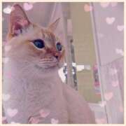 ヒメ日記 2026/01/02 12:54 投稿 ななせ 仙南 愛ランド（白石、柴田、岩沼、名取）