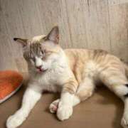 ヒメ日記 2026/01/27 10:34 投稿 ななせ 仙南 愛ランド（白石、柴田、岩沼、名取）