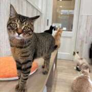 ヒメ日記 2026/01/28 22:54 投稿 ななせ 仙南 愛ランド（白石、柴田、岩沼、名取）