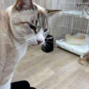 ヒメ日記 2026/02/10 22:14 投稿 ななせ 仙南 愛ランド（白石、柴田、岩沼、名取）