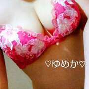 ヒメ日記 2025/11/05 12:34 投稿 ゆめかさん －PTA－